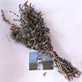 Полынь - пучок травы для окуривания
